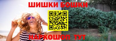стаф Краснодар