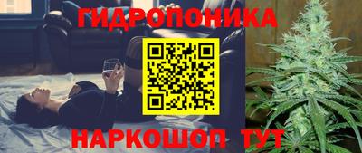 ешки Краснознаменск