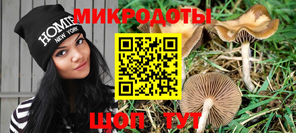 Галлюциногенные грибы MAGIC MUSHROOMS Касимов
